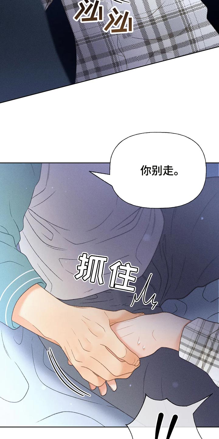 秋牡丹剧场漫画,第62章：【第二季】告白2图